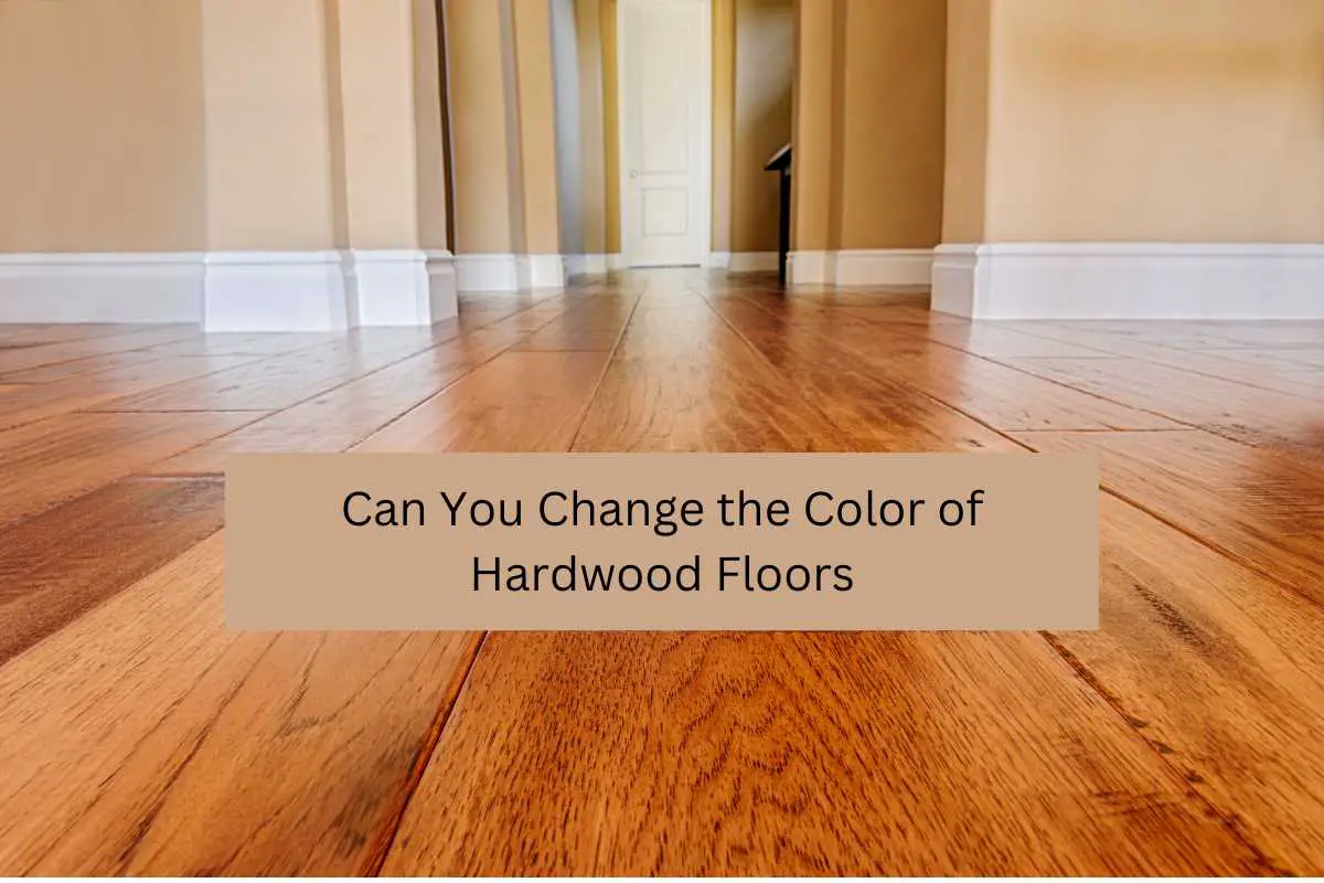 Can You Change the Color of Hardwood Floors