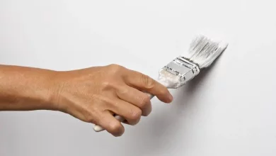 How To Paint a Wall With a Brush | paint a Wall With a Brush