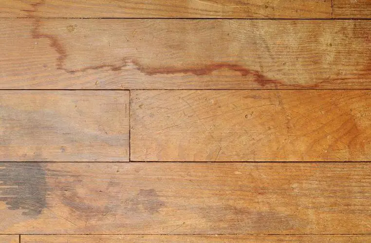 Water Spills and Leaks | Hardwood floor black spots