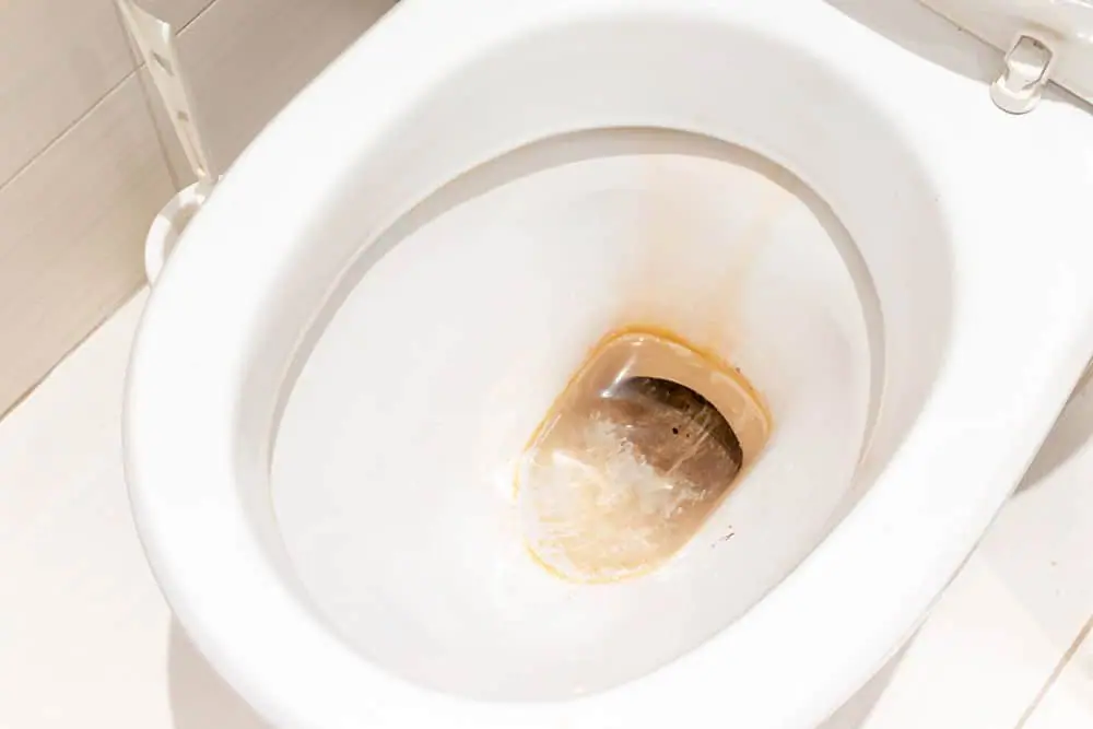 Why Do Skid Marks Appear on the Toilet | skid marks toilet